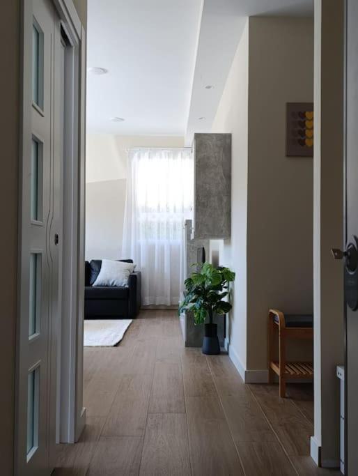 Amplio Y Tranquilo Apartamento Casa Salamanka Zewnętrze zdjęcie